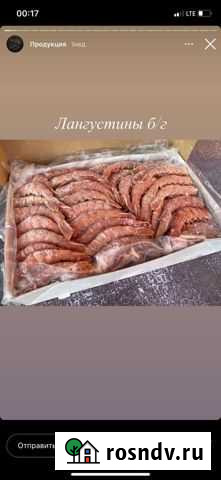 Лангустины Дмитров - изображение 1