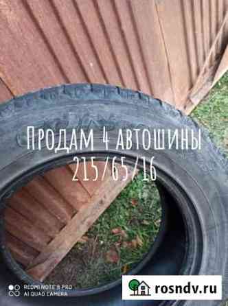Автошина Каргаполье