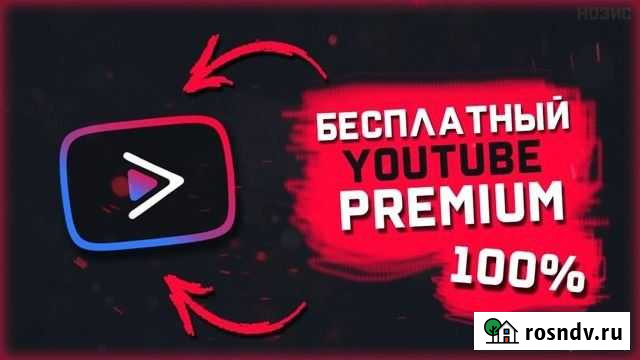 Youtube premium 1-6-12 мес. гарантия Воронеж - изображение 1