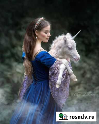 Племенные пони и мини пони Балашиха - изображение 1