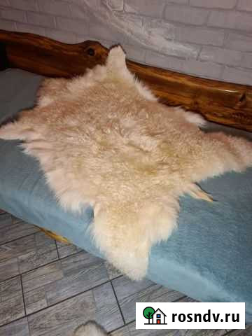 Шкуры козьи пуховые, овечьи Кострома - изображение 1