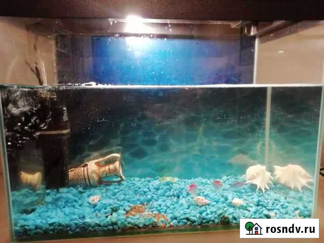 Аквариум 45литров с рыбками Петрозаводск - изображение 1