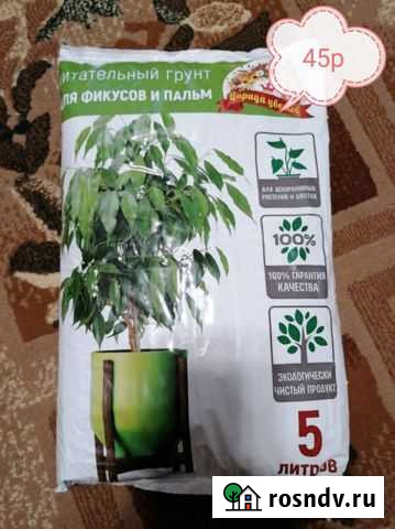 Грунт Курск - изображение 1