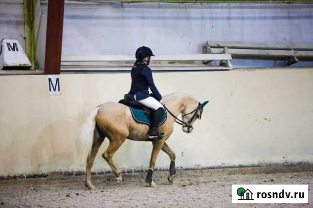 Занятия для детей и взрослых Старая - изображение 1