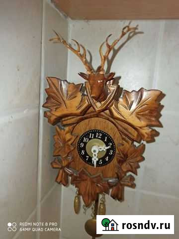 Часы -охотникам и рыбаловам Новосибирск - изображение 1