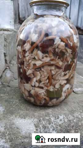 Грибы Сочи - изображение 1