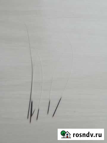 Усы кота, 14 шт Щёлково - изображение 1