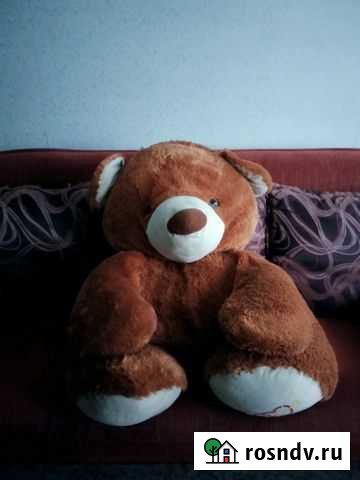 Плюшевый медведь Нижневартовск - изображение 1