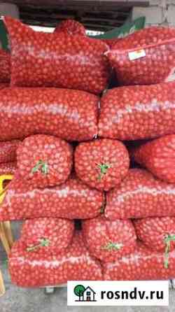 Продам грецкий орех Прохладный