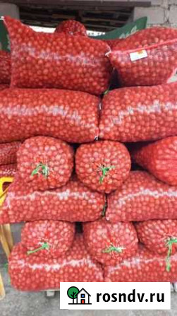 Продам грецкий орех Прохладный - изображение 1