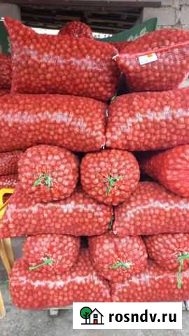 Продам грецкий орех Прохладный - изображение 1