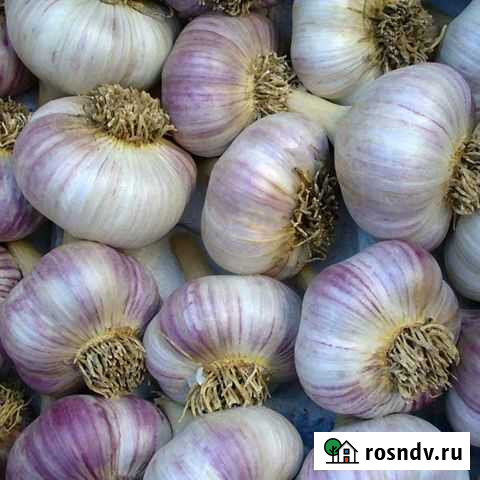 Рокомболь Омск - изображение 1