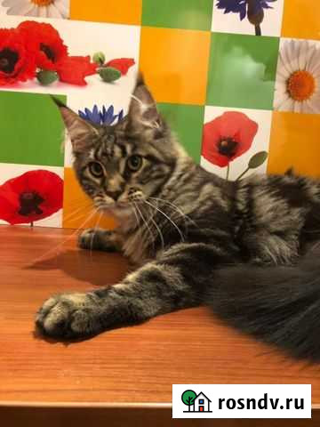 Мраморная красавица Казань - изображение 1