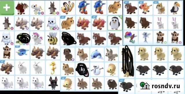 Петы в адопт ми Омск - изображение 1