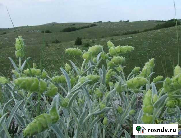 Железница Григорьевская - изображение 1