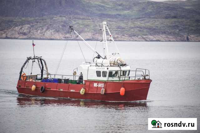Туры в Териберке, прогулки,рыбалка, киты Североморск-3 - изображение 1