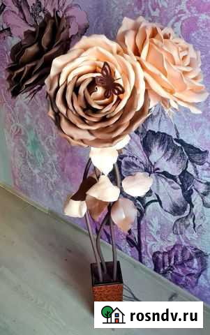 Ростовые цветы Советск - изображение 1