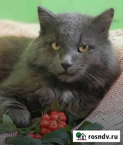 Домовенок Кузя Владимир - изображение 1