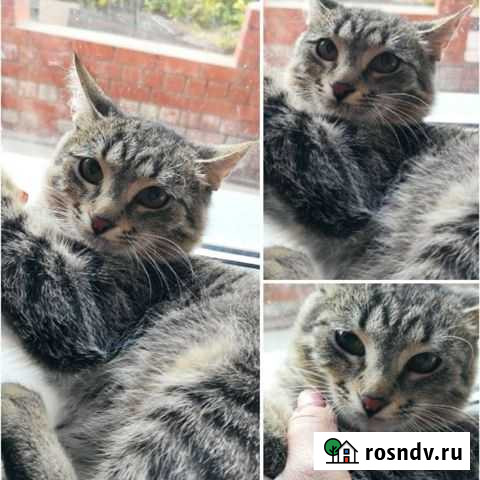 Мальчик 4,5 мес, привезу Саратов - изображение 1