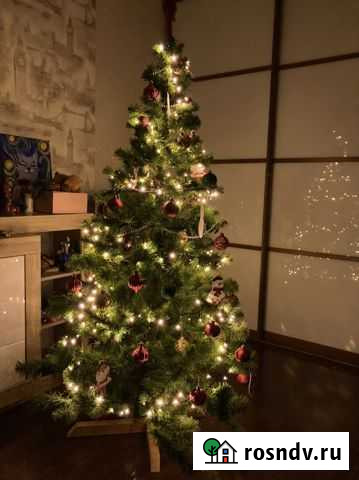 Новогодняя елочка с игрушками и гирляндой Рязань - изображение 1