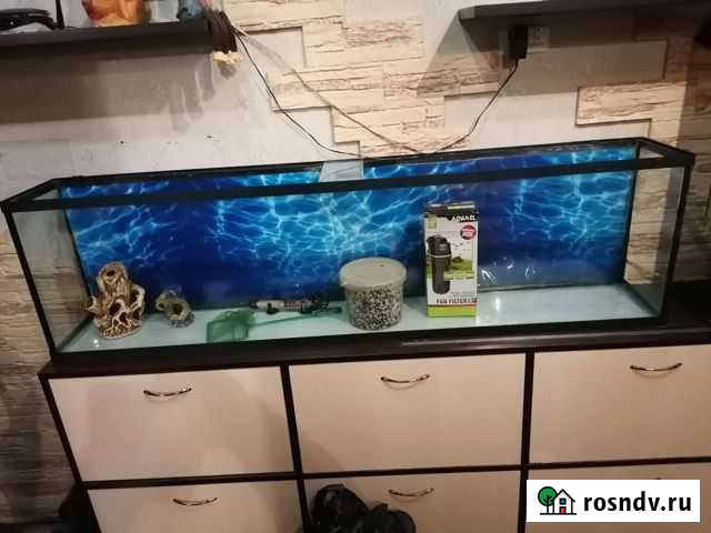 Аквариум Куровское - изображение 1
