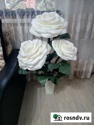 Интерьерные розы Майкоп - изображение 1