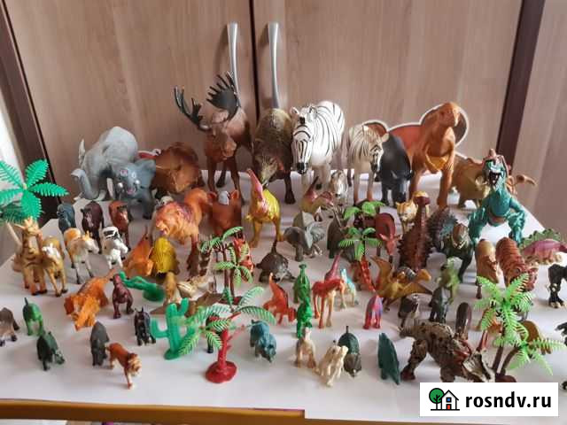 Животные Первомайский - изображение 1