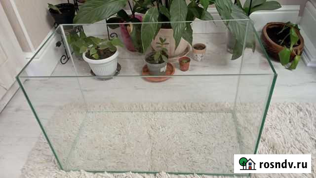 Аквариум Мурино - изображение 1