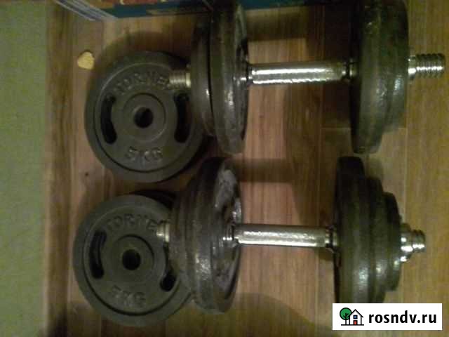 Гантели разборные Иваново - изображение 1