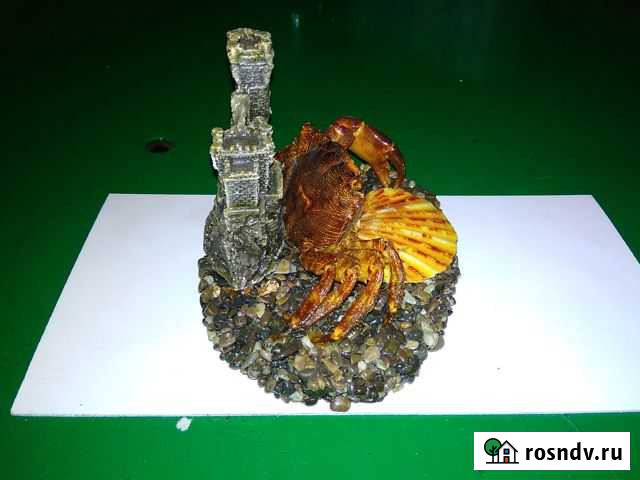 Краб на камнях Сланцы - изображение 1