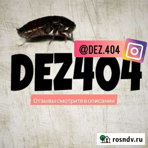 Уничтожение клопов тараканов блох насекомых Смоленск - изображение 1