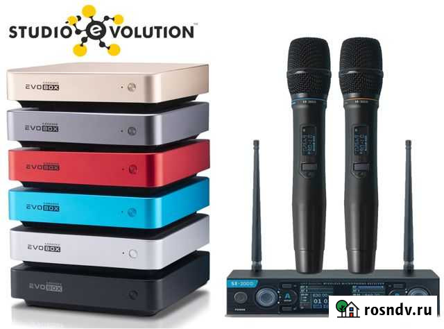 Караоке Evobox + микрофоны SE-200D Екатеринбург - изображение 1