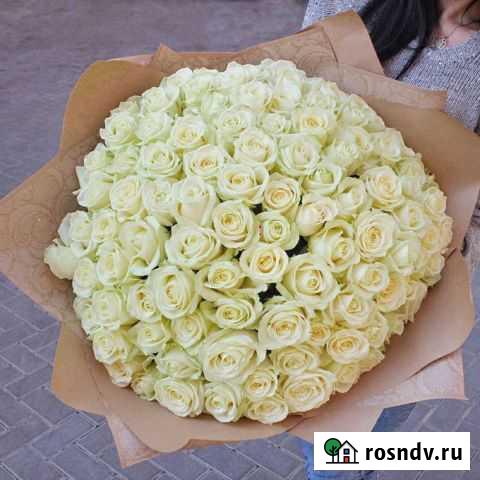 Розы Тамбов - изображение 1