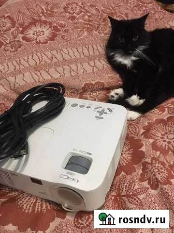 Проектор Псков - изображение 1