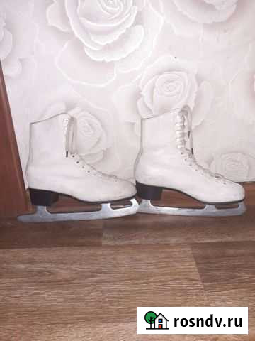 Коньки Псков - изображение 1