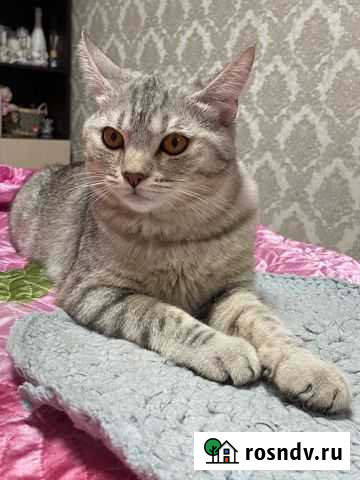 Вязка Кстово - изображение 1