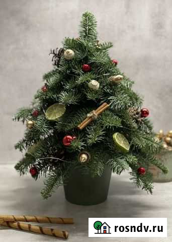 Новогодняя композиция Самара - изображение 1