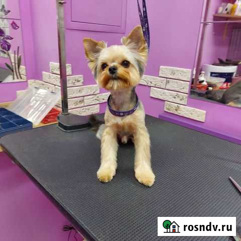 Вязка Люберцы - изображение 1