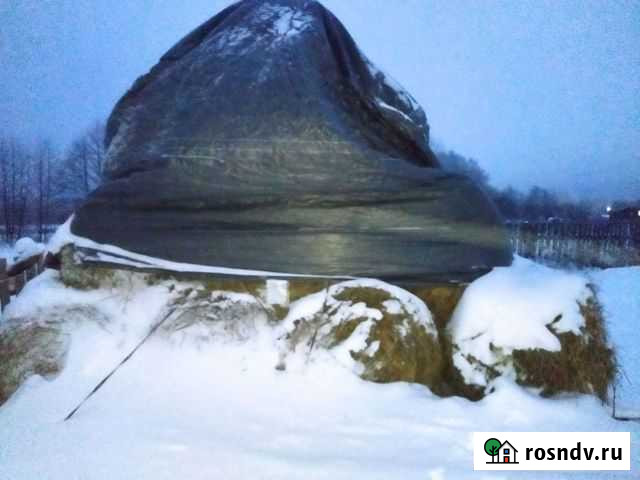 Солома в тюках Алатырь - изображение 1