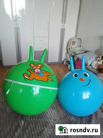 Мяч прыгун Екатеринбург - изображение 1