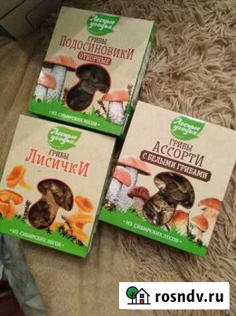Лисички, опята, белые грибы, красные Ульяновск - изображение 1