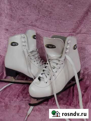 Коньки Семилуки - изображение 1