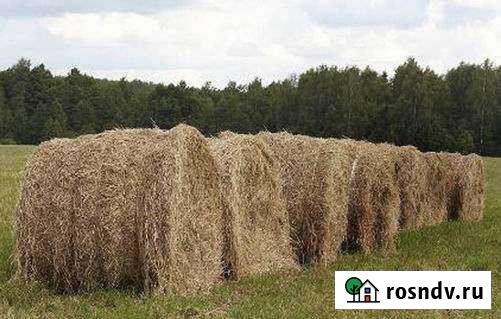 Продам Сено Железногорск - изображение 1