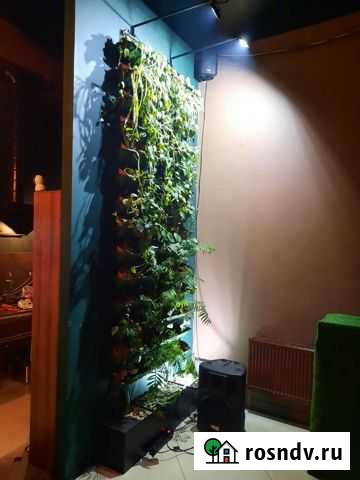 Живая стена с автополивом Иваново - изображение 1