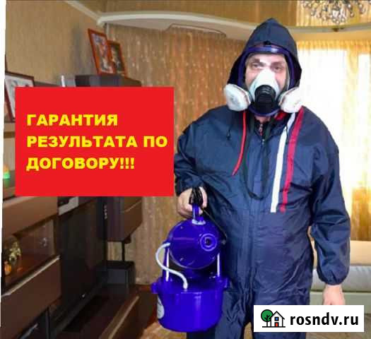 Уничтожение клопов, тараканов, муравьёв Красноярск - изображение 1