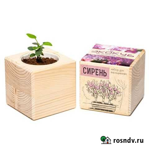 Набор для выращивания (Экокуб) Сирень Севастополь - изображение 1