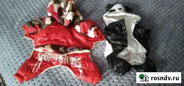 Комбинезон для маленькой собаки Ковров - изображение 1