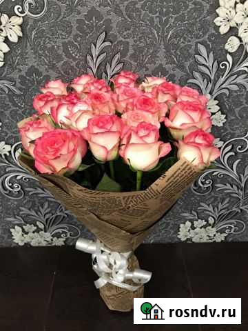 Роза Армавир - изображение 1