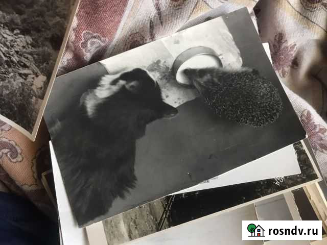 Старинные фотографии Томск - изображение 1