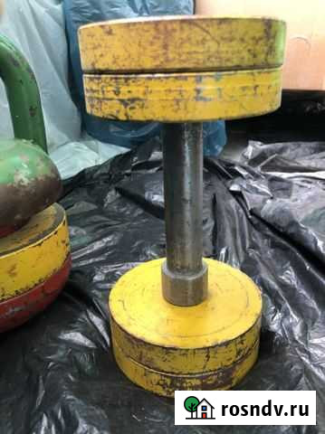 Гантели разборные СССР Обнинск - изображение 1